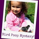 Sherlock Mom and the "Bird Poop Eating" Mystery