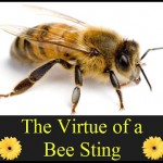 The Virtue of a Bee Sting